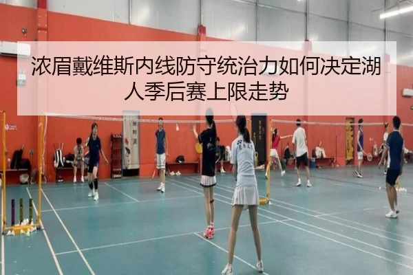 浓眉戴维斯内线防守统治力如何决定湖人季后赛上限走势