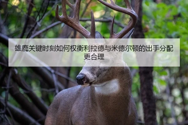 雄鹿关键时刻如何权衡利拉德与米德尔顿的出手分配更合理